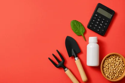 Previous Article Image