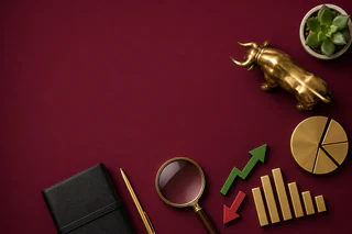 Finance Wrap