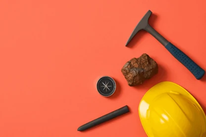 Previous Article Image