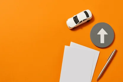 Previous Article Image