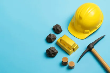 Previous Article Image