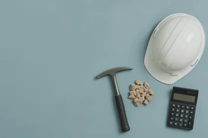 Previous Article Image