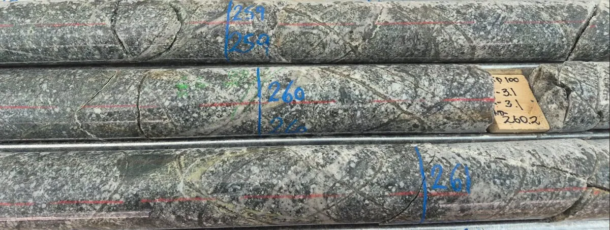 Core photo from DKD100 (259 – 261 m downhole) with vein-hosted and disseminated chalcopyrite (2%) and pyrite (4%) mineralisation in strongly veined tonalite ho…