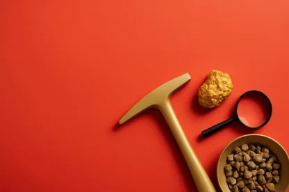 Previous Article Image