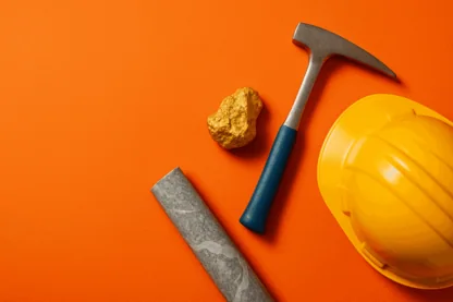 Previous Article Image