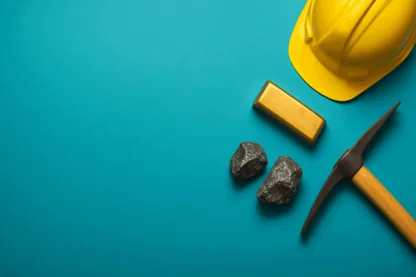 Previous Article Image