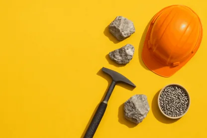 Previous Article Image