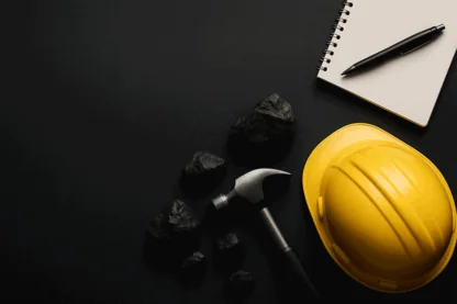 Previous Article Image