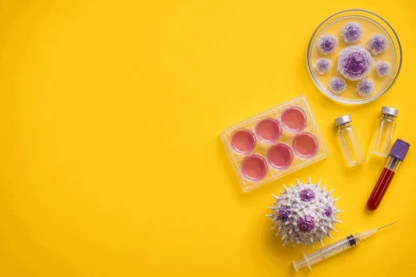 Previous Article Image