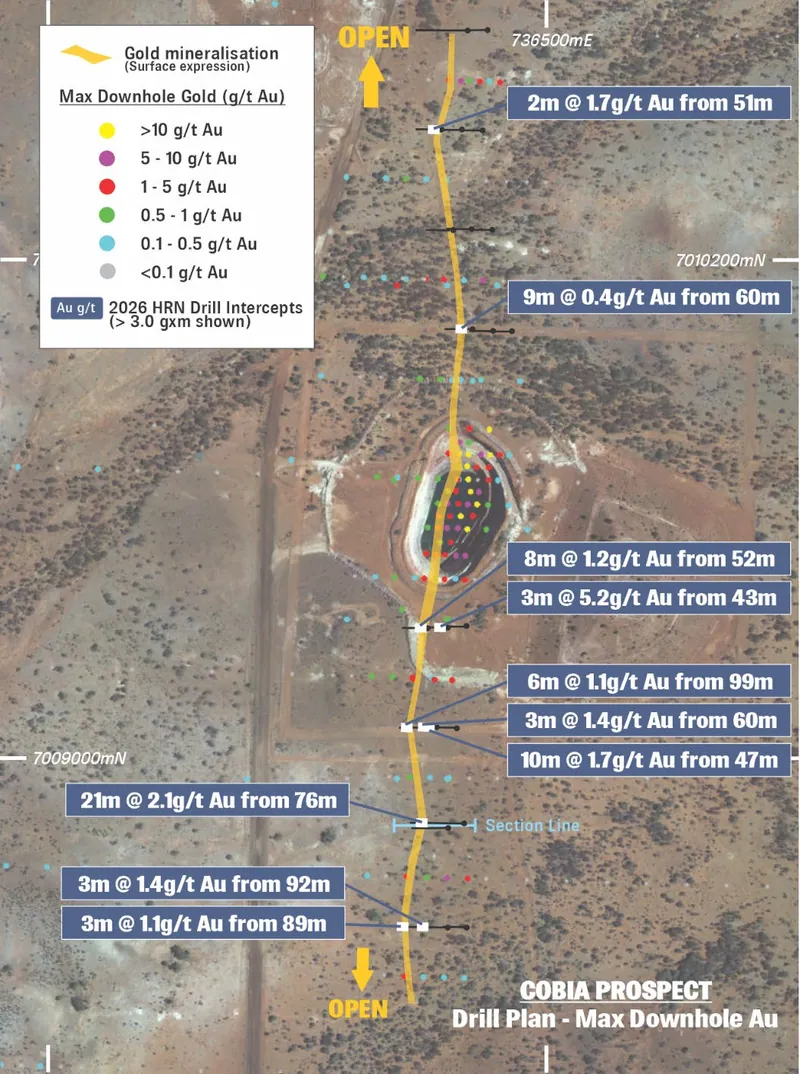 Cobia drill hole plan showing all drill collars coloured by max. downhole gold and recent intercepts over satellite image