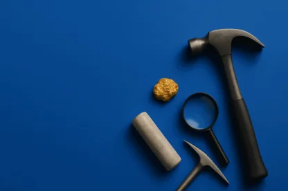 Previous Article Image