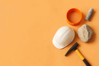 Previous Article Image