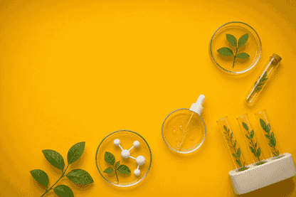 Bio-Gene Raises $2.775 Million in Placement with Options Awaiting Shareholder Nod