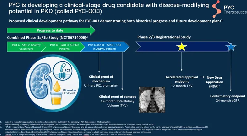 PYC's proposed clinical development pathway in the PKD program18