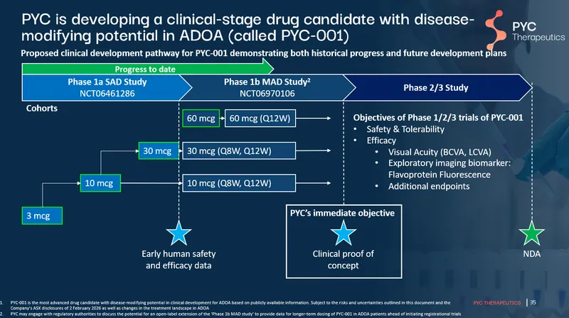 PYC's proposed clinical development pathway in the ADOA program28