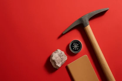 Previous Article Image