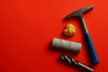 Previous Article Image