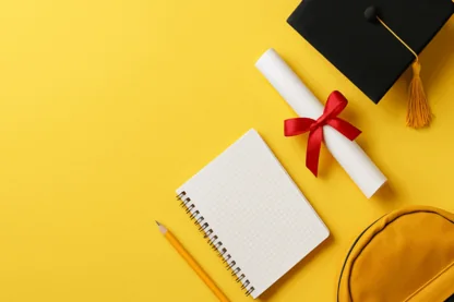 Previous Article Image