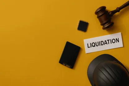 Previous Article Image