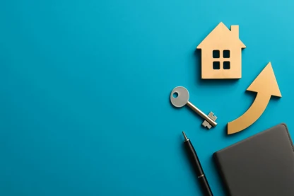 Previous Article Image