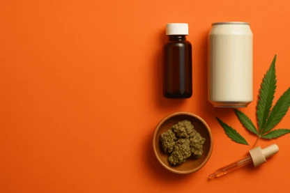 Previous Article Image