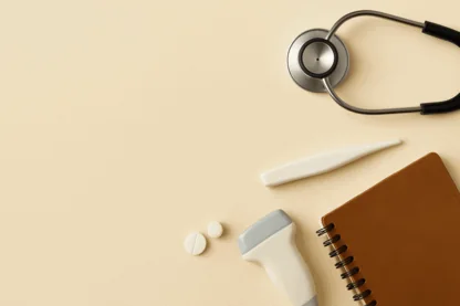 Previous Article Image