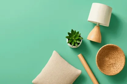 Temple & Webster Accelerates Growth with $601M Revenue and NZ Expansion