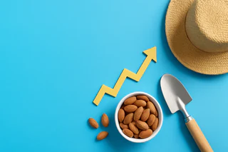 Select Harvests Doubles Down on Growth with $31.8m Profit and Debt Halving