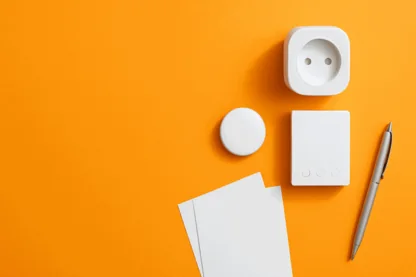 Previous Article Image