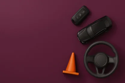 Previous Article Image