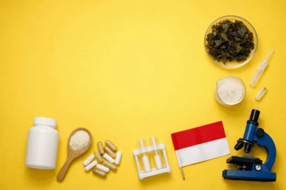 Previous Article Image