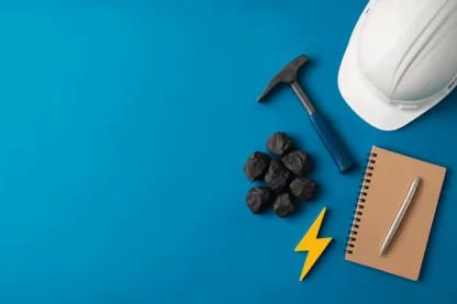 Previous Article Image