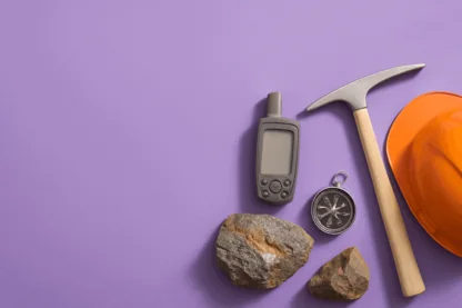 Previous Article Image