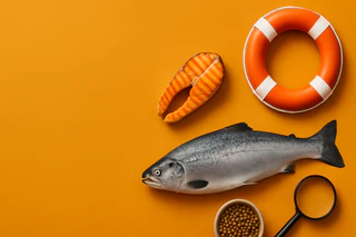 New Zealand King Salmon Raises FY26 Earnings Forecast on Strong Summer Performance