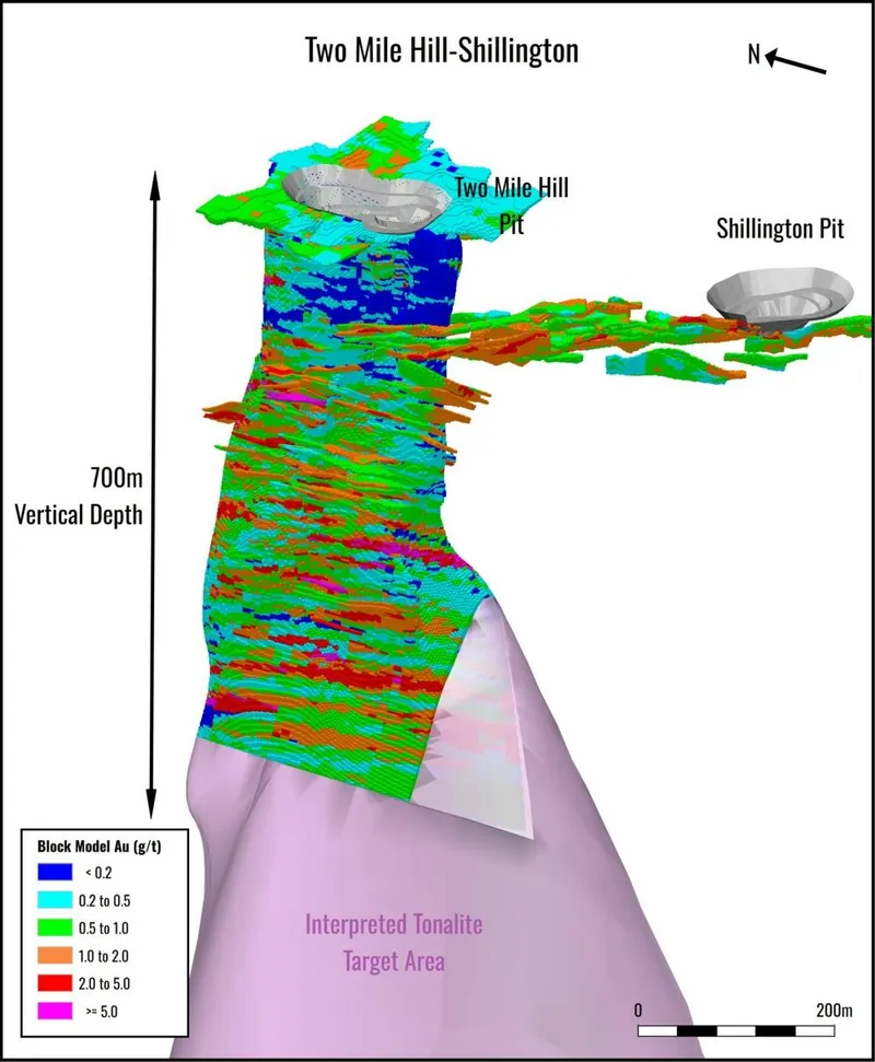 3D Oblique view of the block model for the September 2026 Two Mile Hill-Shillington MRE update