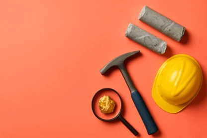 Previous Article Image