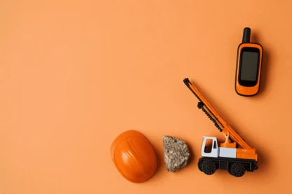 Previous Article Image