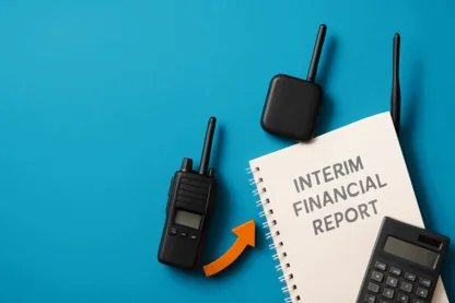 Previous Article Image