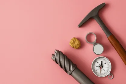 Previous Article Image