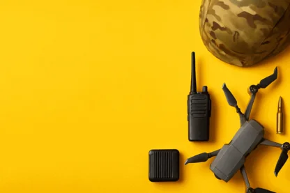 Previous Article Image