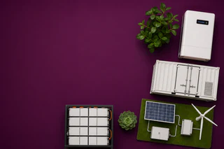 RLG Accelerates Renewable Energy Push with $1.06M Placement and Strategic Acquisition