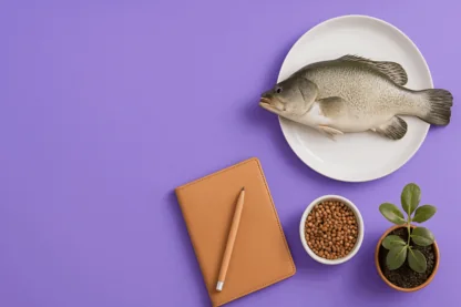 Previous Article Image