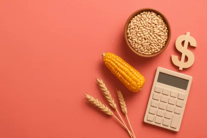 How GrainCorp’s Strong 1H25 Performance Fuels FY25 Growth Ambitions