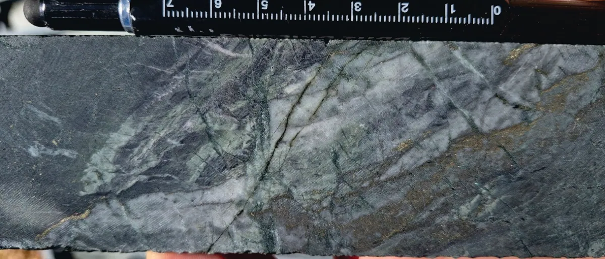 Porphyry style quartz-pyrrhotite-chalcopyrite vein hosted in chlorite-magnetite±?biotite altered volcaniclastic siltstone from 253.2m (26DNRCD007)