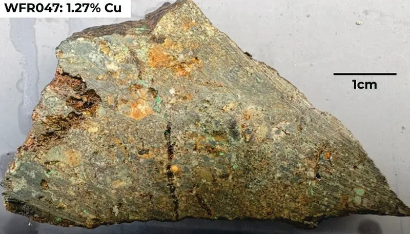 Example of inner propylitic (chlorite-carbonate-chalcopyrite/malachite± magnetite) altered, brecciated, andesitic volcaniclastic associated with the Cu in soil…