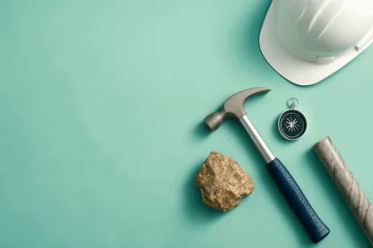 Previous Article Image