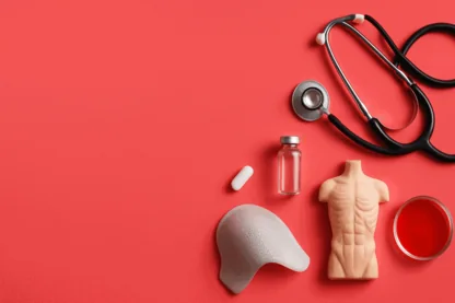 Previous Article Image