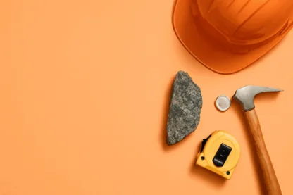 Previous Article Image