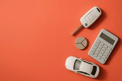 Previous Article Image