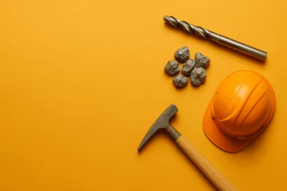 Previous Article Image